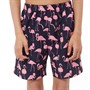Fluid Kids Swim Shorts Navy/Pink