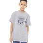 Fluid Jongens Tiger Collegiate T-shirts Gemeleerd Grijs