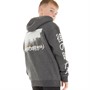 Fluid Jungen Pictoral Print Kapuzenpullover Graumeliert
