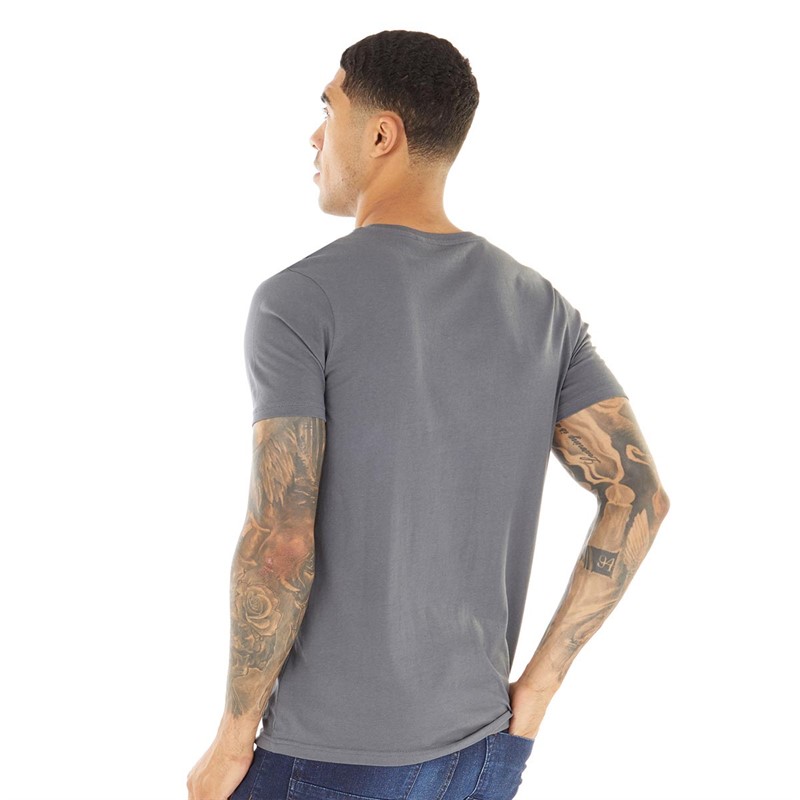 Fluid Heren Skull Print T-shirts Grijs