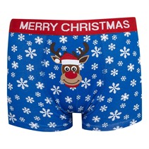 Fluid Boys Christmas Novelty Reindeer Boxers Multi