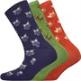 Fruitcake Womens Ankle Socks OR084