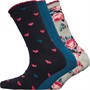 Fruitcake Womens Three Pack Ankle Socks Multi