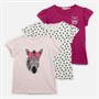 Board Angels Girls Three Pack Zebra T-Shirts Multi