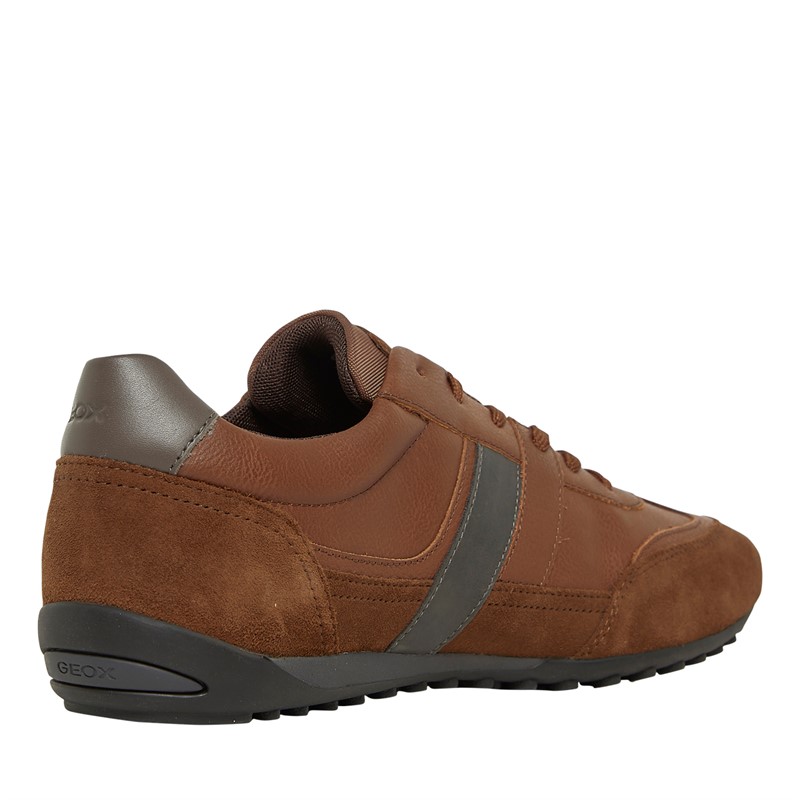 GEOX Baskets basses Homme Wells Brun Cotto