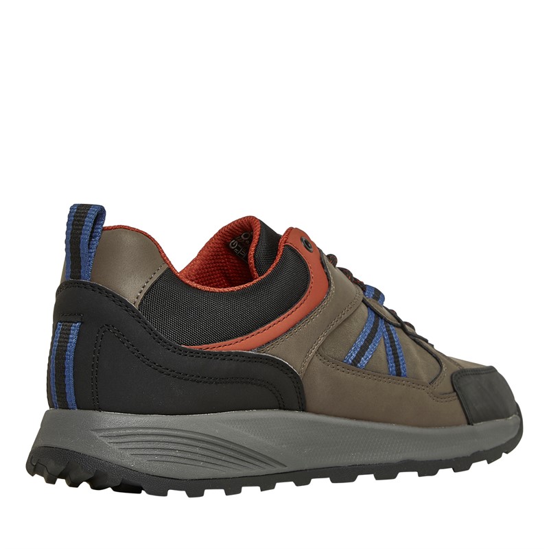 GEOX Herren Terrestre Sneaker Taube Grau