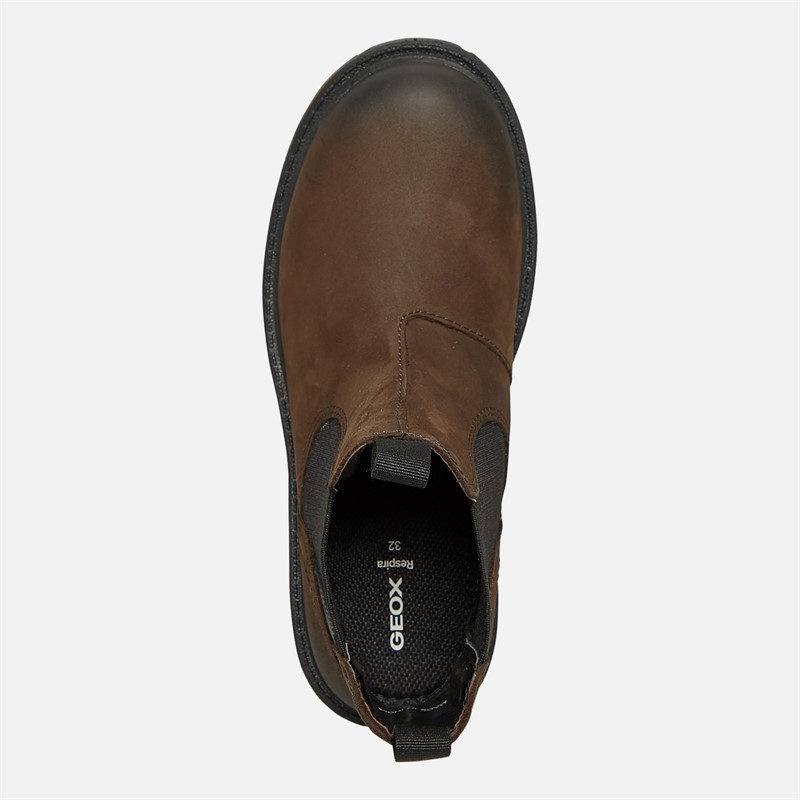 GEOX Drenge Shaylax Chelsea Støvler Kaffe/Sort