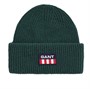 Gant Bonnets Retro Logo Homme Vert Foncé