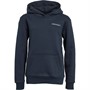 Peak Performance Børne Logo Hoodie Blå Skygge