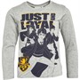 Harry Potter Drenge T-shirts med lange ærmer Grå Mergel