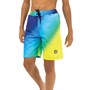 Hype Shorts de Bain Garçon Bleu Multicolore