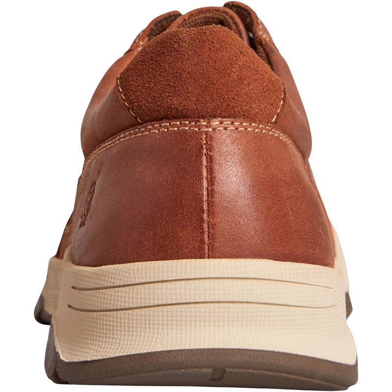 Buy Hush Puppies Mens Finley Lace Shoes Tan
