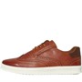 Hush Puppies Mens Matias Brogue Shoes Tan
