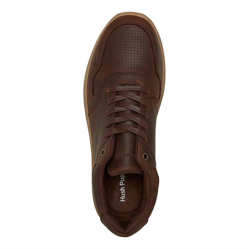 Hush Puppies Mens Mustang Lace Shoes Brown