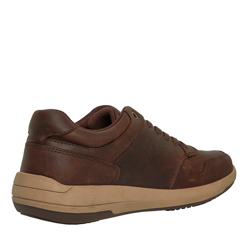 Hush Puppies Mens Mustang Lace Shoes Brown