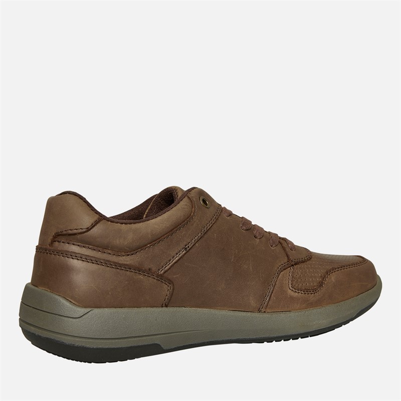 Hush Puppies Mens Mustang Lace Shoes Brown/Charcoal