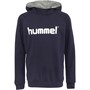 Hummel Sweats à Capuche Cotton Logo Garçon Bleu