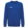Hummel Børn Chevron Cotton Sweatshirts Blå