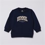 Hummel Sweatshirt til små Drenge Hmlfast Lime Sort Iris