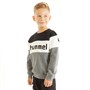 Hummel Sweatshirt til Drenge Hmlclaes Mellemgrå
