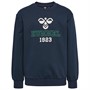 Hummel Drenge Hmljulle Sweatshirt Blå
