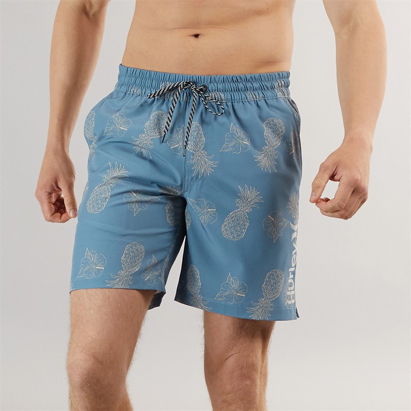 Hurley Mens Pineapple Swimshorts Blue/Brown - Size S