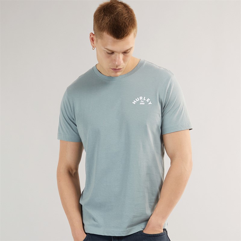 Hurley Mens Stripey Sunrise T-Shirt Grey/Blue