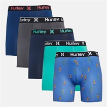 Hurley Mens Regrind Five Pack Boxer Briefs Blue