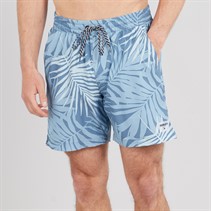 Hurley Herren Tropic Farn Volley Badehose Blau/Braun