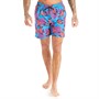 Gotcha Mens Ives Swim Shorts Blue