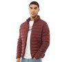 JACK AND JONES Vestes Puffa Wing Stand Collar Homme Bordeaux