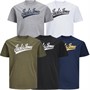 JACK AND JONES Tee-Shirt Jwhanything Garçon Multicolore