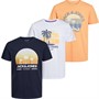 JACK AND JONES Heren Deacon T-shirts Multi