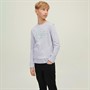 JACK AND JONES Sweatshirts Relden Garçon Gris Clair Chiné