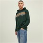 JACK AND JONES Sweats à Capuche Ron Homme Vert Bouteille