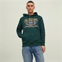 JACK AND JONES Sweats à Capuche Homme Vert Bouteille