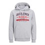 JACK AND JONES Sweats à Capuche Homme Gris Clair Chiné