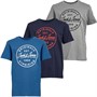 JACK AND JONES Boys Jwhmore Three Pack T-Shirts Sailor Blue/Navy Blazer/Alloy