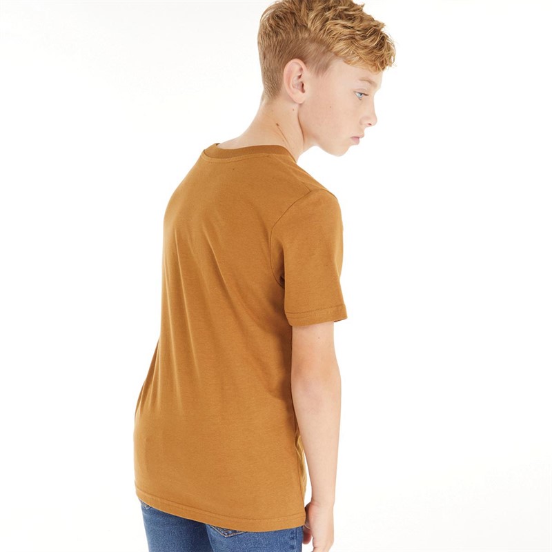 JACK AND JONES T-Shirts Copenhagen Garçon Marron