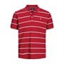 JACK AND JONES Heren Bluwin Stripe Polo’s met korte mouwen Rood
