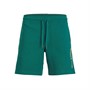 JACK AND JONES Heren Neo Jersey shorts Groen