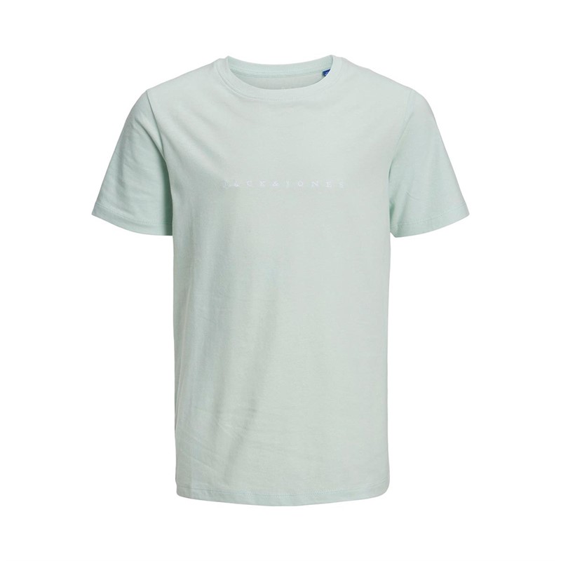 JACK AND JONES T-Shirts Copenhagen Garçon Bleu Pâle