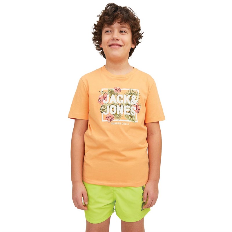 JACK AND JONES Boys Becs Shape Crew Neck T-Shirt Pumpkin