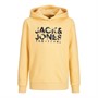 JACK AND JONES Boys Becs Shape Sweat Hoodie Jojoba