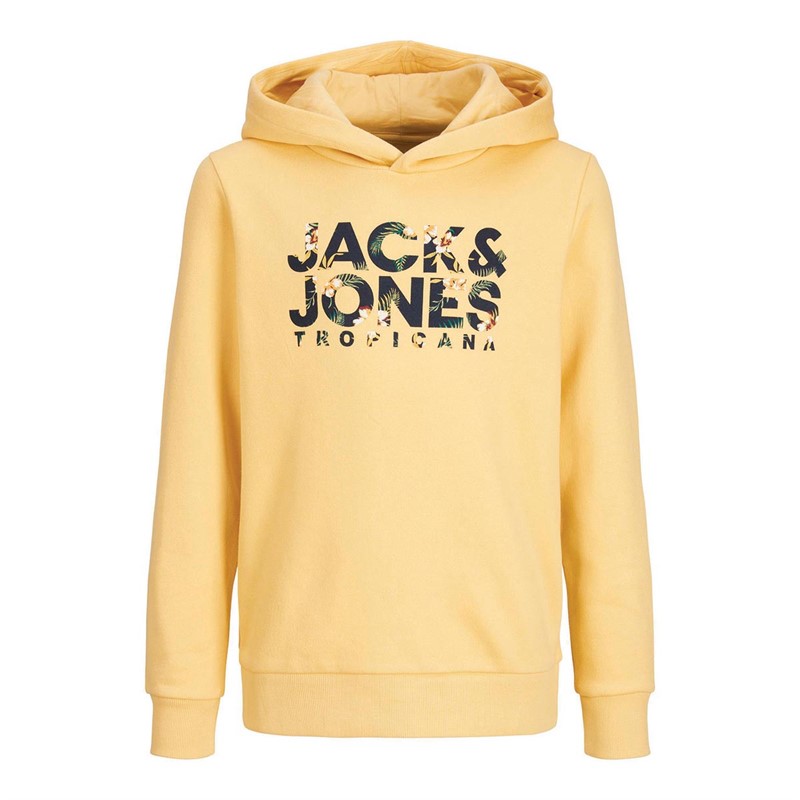 JACK AND JONES Boys Becs Shape Sweat Hoodie Jojoba