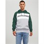 JACK AND JONES Sweats à Capuche Logo Blocking Homme Vert