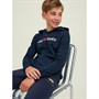 JACK AND JONES Jongens Old Logo Hoodies Marineblauw