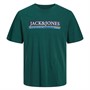 JACK AND JONES Jongens Codyy T-shirts Groen
