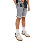 JACK AND JONES Jongens Rick Denim shorts Grijs