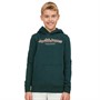 JACK AND JONES Sweats à Capuche Lakewood Garçon Vert Jade
